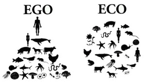 graphical, symbolic and conceptual presentation of what happens